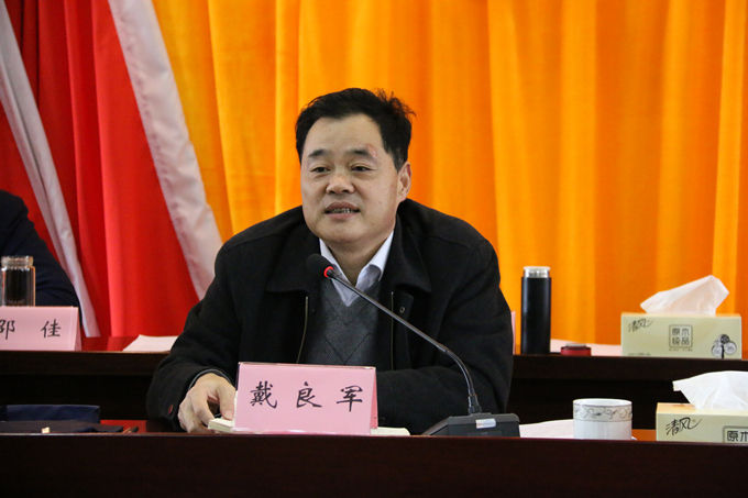 集團(tuán)黨委委員、副總經(jīng)理、總工程師戴良軍發(fā)表講話